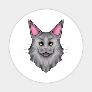 Gray Mainecoon Cat Magnet